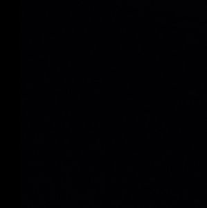 Meet your Posher, Cesar